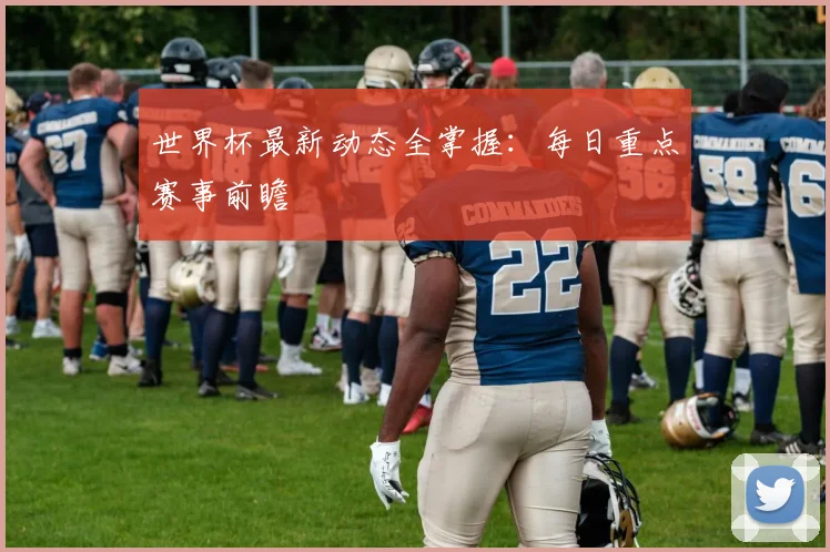 世界杯最新动态全掌握：每日重点赛事前瞻